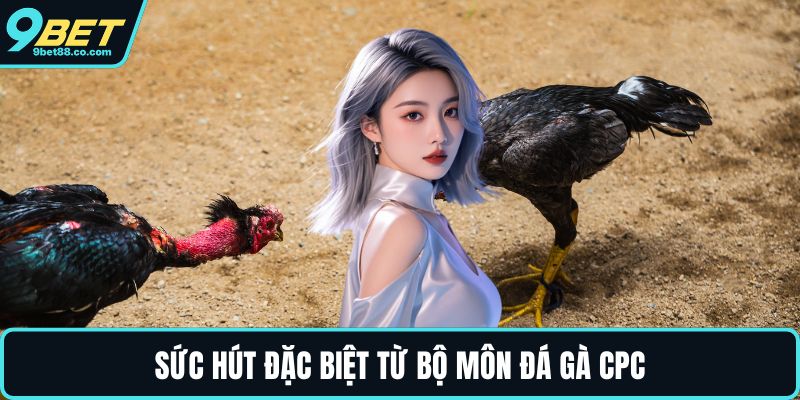 Sức hút đặc biệt từ bộ môn đá gà CPC